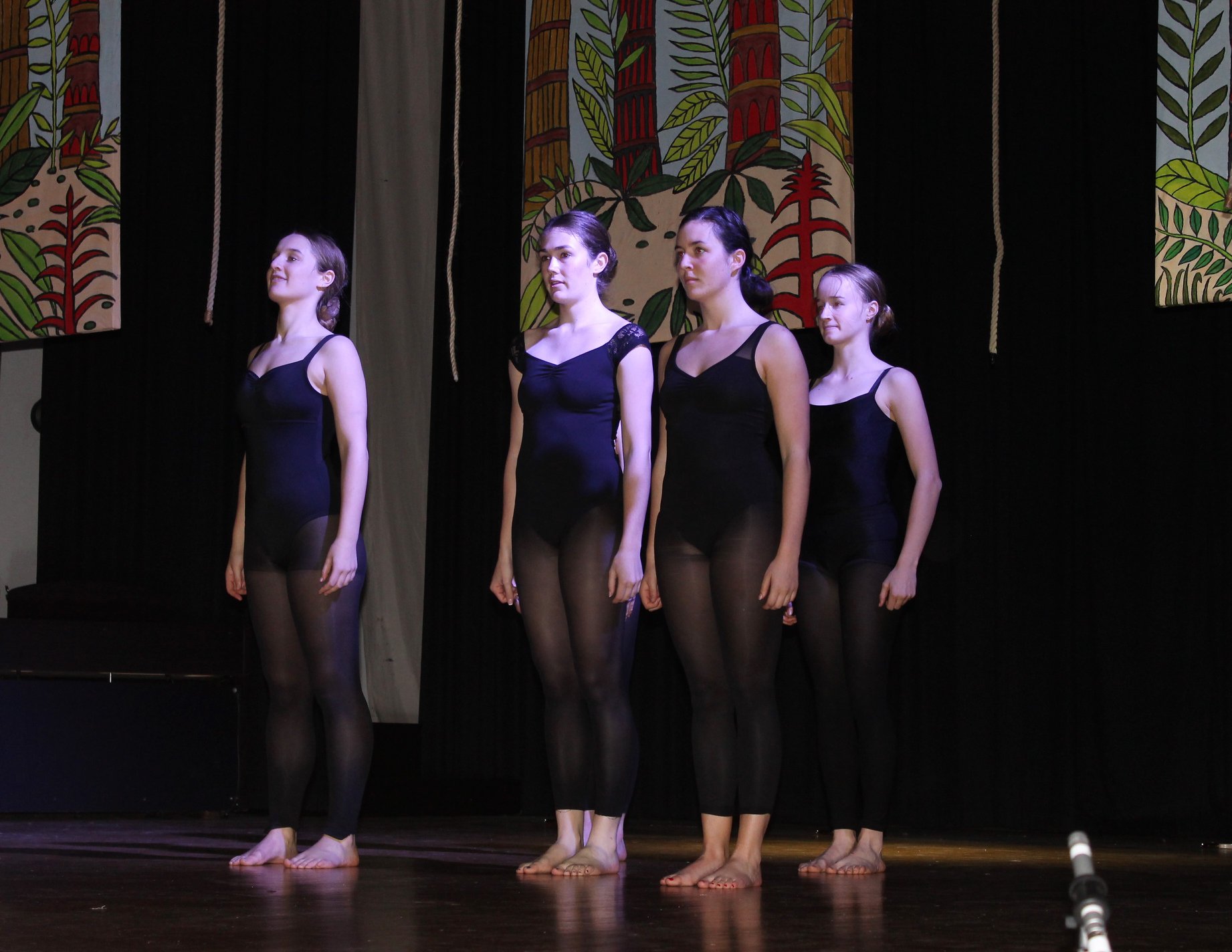 35634012 1711984638839067 3024024999246692352 o